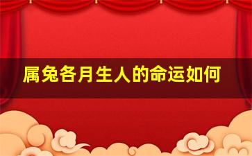 属兔各月生人的命运如何