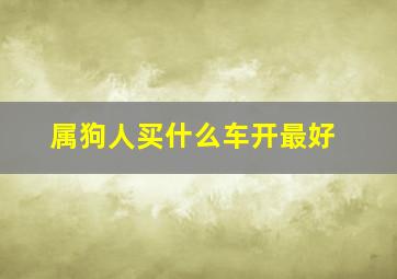 属狗人买什么车开最好