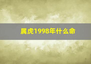 属虎1998年什么命