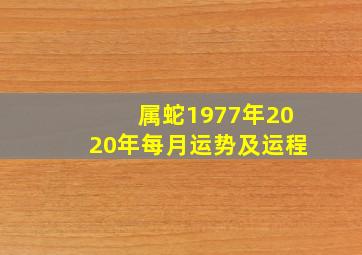 属蛇1977年2020年每月运势及运程