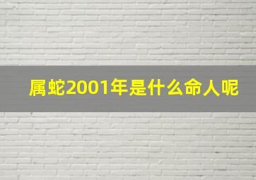 属蛇2001年是什么命人呢