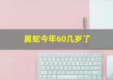 属蛇今年60几岁了