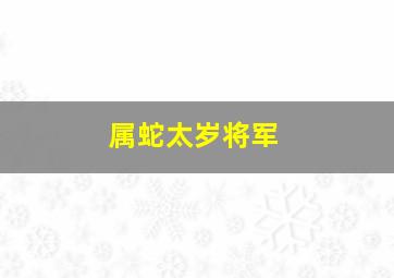 属蛇太岁将军