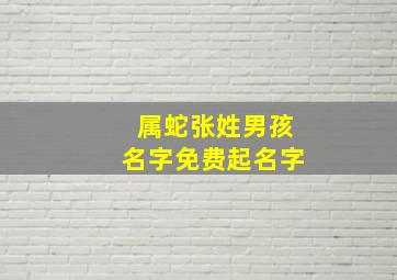 属蛇张姓男孩名字免费起名字