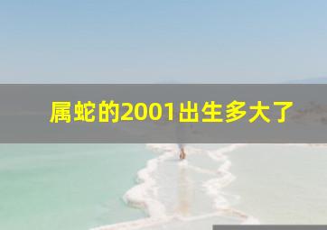 属蛇的2001出生多大了