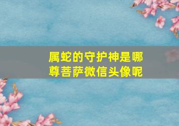 属蛇的守护神是哪尊菩萨微信头像呢