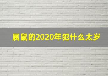 属鼠的2020年犯什么太岁