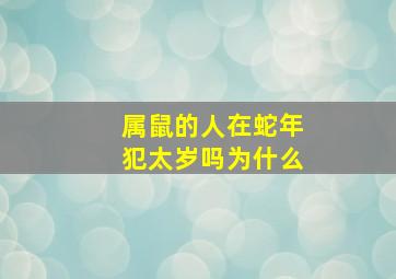 属鼠的人在蛇年犯太岁吗为什么