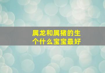 属龙和属猪的生个什么宝宝最好