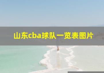 山东cba球队一览表图片