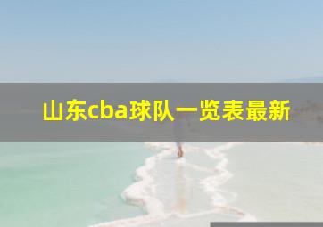 山东cba球队一览表最新