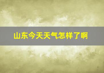 山东今天天气怎样了啊