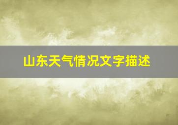 山东天气情况文字描述