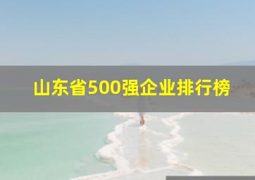 山东省500强企业排行榜