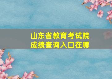 山东省教育考试院成绩查询入口在哪