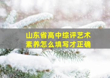 山东省高中综评艺术素养怎么填写才正确