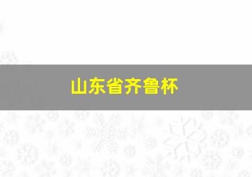 山东省齐鲁杯