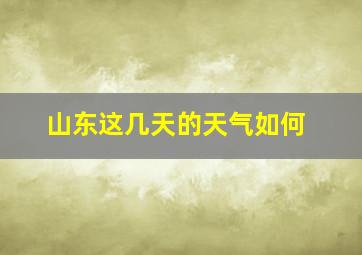 山东这几天的天气如何