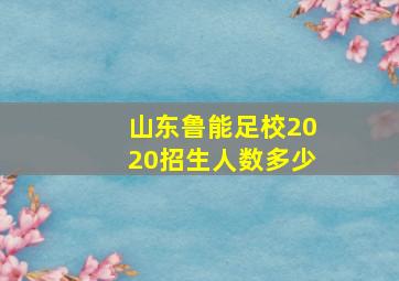 山东鲁能足校2020招生人数多少