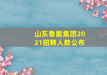 山东鲁能集团2021招聘人数公布