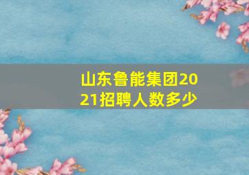 山东鲁能集团2021招聘人数多少