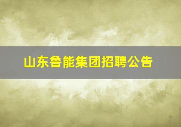 山东鲁能集团招聘公告