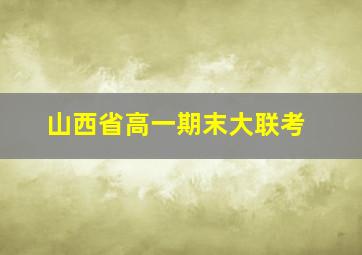 山西省高一期末大联考