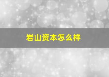 岩山资本怎么样