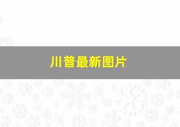 川普最新图片