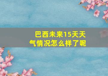 巴西未来15天天气情况怎么样了呢