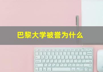 巴黎大学被誉为什么