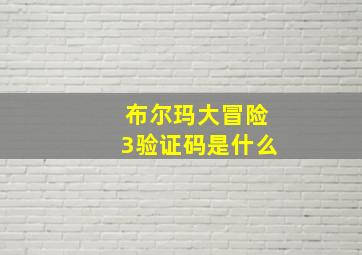 布尔玛大冒险3验证码是什么