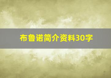 布鲁诺简介资料30字