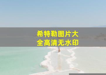 希特勒图片大全高清无水印