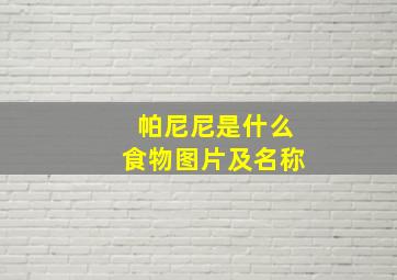 帕尼尼是什么食物图片及名称