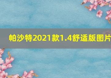 帕沙特2021款1.4舒适版图片