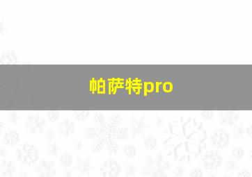 帕萨特pro