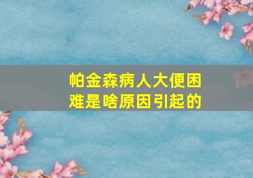 帕金森病人大便困难是啥原因引起的