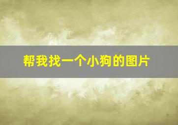 帮我找一个小狗的图片