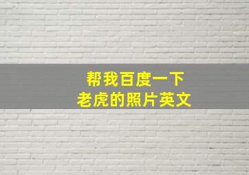 帮我百度一下老虎的照片英文