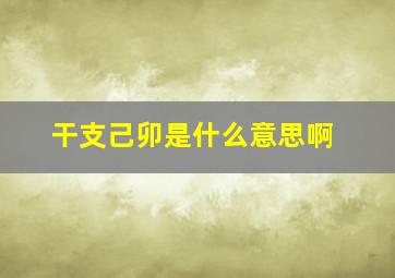 干支己卯是什么意思啊