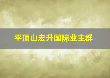 平顶山宏升国际业主群