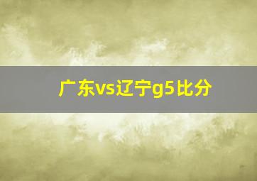 广东vs辽宁g5比分