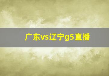 广东vs辽宁g5直播