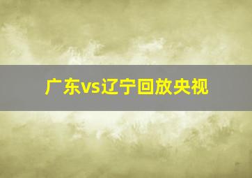 广东vs辽宁回放央视