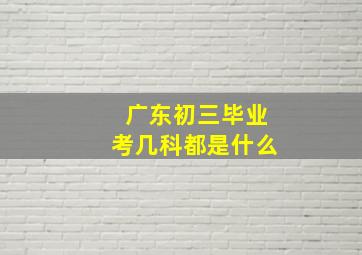 广东初三毕业考几科都是什么