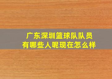 广东深圳篮球队队员有哪些人呢现在怎么样