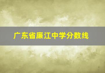 广东省廉江中学分数线