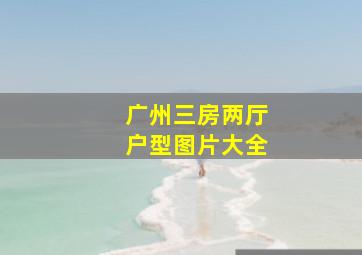 广州三房两厅户型图片大全