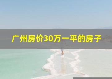 广州房价30万一平的房子